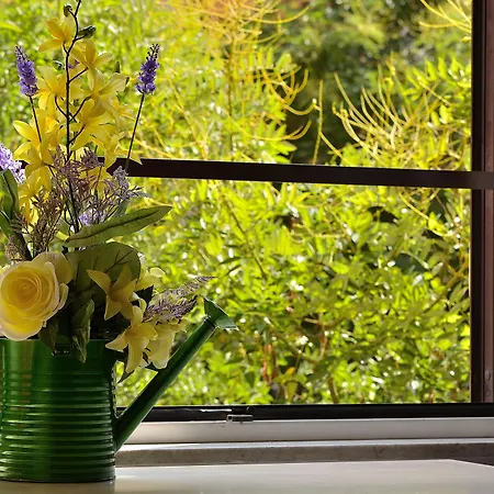 Ottaviano 4* רומא